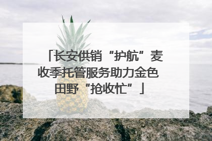 长安供销“护航”麦收季托管服务助力金色田野“抢收忙”