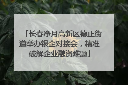 长春净月高新区德正街道举办银企对接会，精准破解企业融资难题