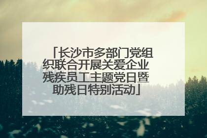 长沙市多部门党组织联合开展关爱企业残疾员工主题党日暨助残日特别活动