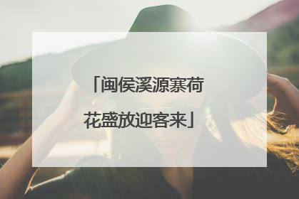 闽侯溪源寨荷花盛放迎客来
