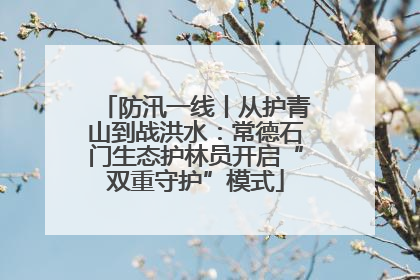 防汛一线丨从护青山到战洪水：常德石门生态护林员开启“双重守护”模式