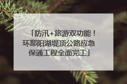 防汛+旅游双功能！环鄱阳湖堤顶公路应急保通工程全面完工