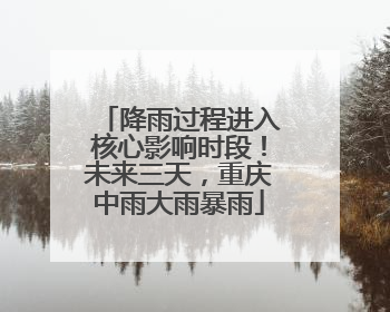 降雨过程进入核心影响时段！未来三天，重庆中雨大雨暴雨