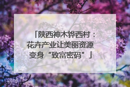 陕西神木铧西村：花卉产业让美丽资源变身“致富密码”