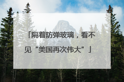 隔着防弹玻璃，看不见“美国再次伟大”