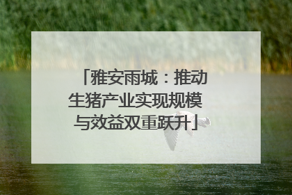 雅安雨城：推动生猪产业实现规模与效益双重跃升