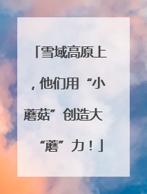 雪域高原上，他们用“小蘑菇”创造大“蘑”力！