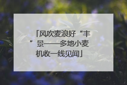 风吹麦浪好“丰”景——多地小麦机收一线见闻