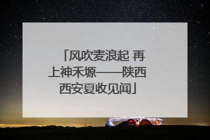 风吹麦浪起 再上神禾塬——陕西西安夏收见闻