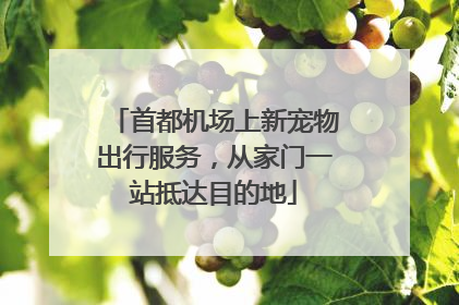 首都机场上新宠物出行服务，从家门一站抵达目的地
