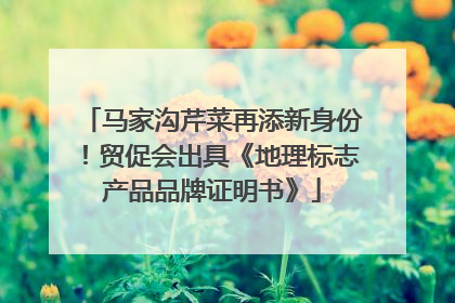马家沟芹菜再添新身份！贸促会出具《地理标志产品品牌证明书》