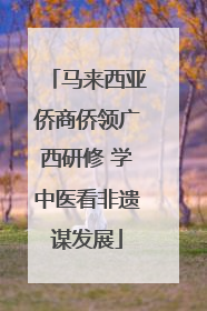 马来西亚侨商侨领广西研修 学中医看非遗谋发展