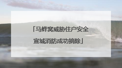 马蜂窝威胁住户安全 宣城消防成功摘除