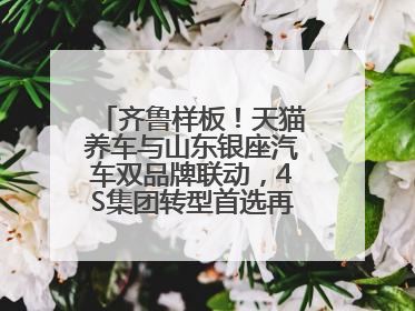 齐鲁样板！天猫养车与山东银座汽车双品牌联动，4S集团转型首选再创新范式