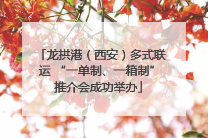 龙拱港（西安）多式联运 “一单制、一箱制” 推介会成功举办