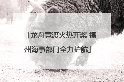 龙舟竞渡火热开桨 福州海事部门全力护航