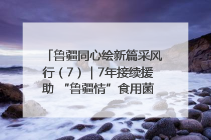 鲁疆同心绘新篇采风行（7）｜7年接续援助 “鲁疆情”食用菌从1.0走向4.0