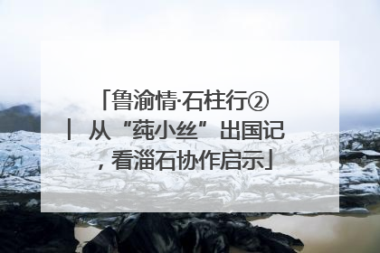 鲁渝情·石柱行② ︳从“莼小丝”出国记，看淄石协作启示