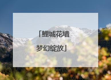 鲤城花墙 梦幻绽放