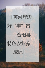 黄河岸边好“丰”景——合阳县特色农业养成记
