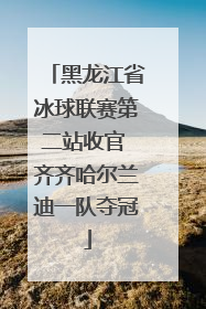 黑龙江省冰球联赛第二站收官 齐齐哈尔兰迪一队夺冠