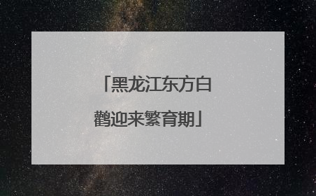 黑龙江东方白鹳迎来繁育期
