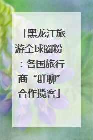 黑龙江旅游全球圈粉：各国旅行商“群聊”合作揽客