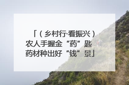 （乡村行·看振兴）农人手握金“药”匙 药材种出好“钱”景