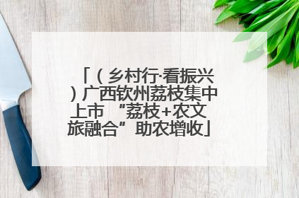 （乡村行·看振兴）广西钦州荔枝集中上市 “荔枝+农文旅融合”助农增收