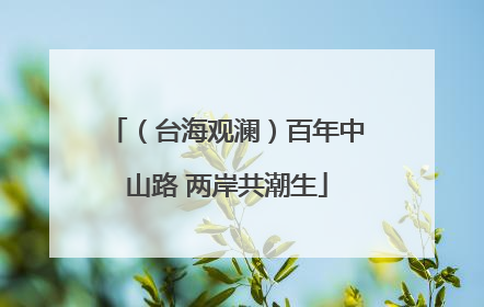 （台海观澜）百年中山路 两岸共潮生