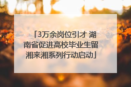 3万余岗位引才 湖南省促进高校毕业生留湘来湘系列行动启动