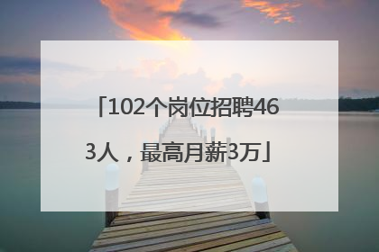 102个岗位招聘463人，最高月薪3万