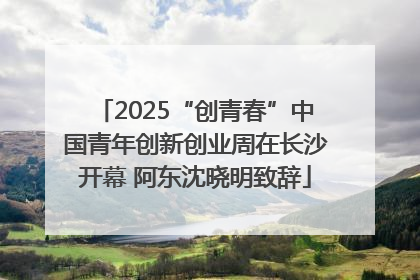 2025“创青春”中国青年创新创业周在长沙开幕 阿东沈晓明致辞