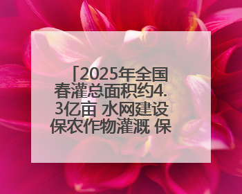 2025年全国春灌总面积约4.3亿亩 水网建设保农作物灌溉 保粮食丰收