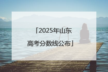 2025年山东高考分数线公布