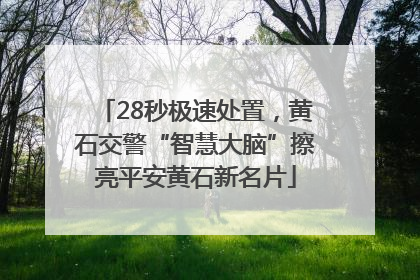 28秒极速处置，黄石交警“智慧大脑”擦亮平安黄石新名片