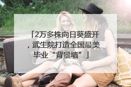 2万多株向日葵盛开，武生院打造全国最美毕业“背景墙”