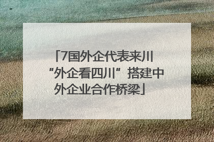 7国外企代表来川 “外企看四川”搭建中外企业合作桥梁