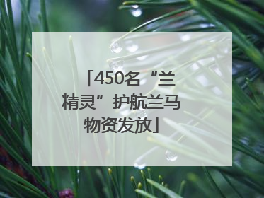 450名“兰精灵”护航兰马物资发放