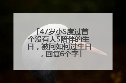 47岁小S度过首个没有大S陪伴的生日，被问如何过生日，回复6个字