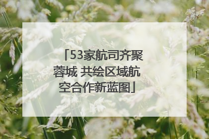 53家航司齐聚蓉城 共绘区域航空合作新蓝图