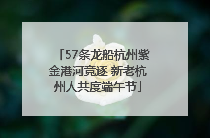 57条龙船杭州紫金港河竞逐 新老杭州人共度端午节