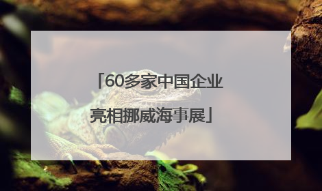 60多家中国企业亮相挪威海事展