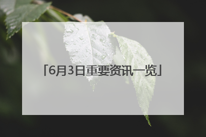 6月3日重要资讯一览