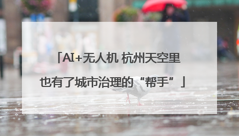 AI+无人机 杭州天空里也有了城市治理的“帮手”