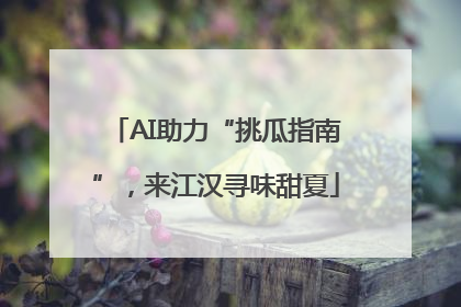AI助力“挑瓜指南”，来江汉寻味甜夏