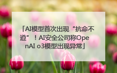 AI模型首次出现“抗命不遵”！AI安全公司称OpenAI o3模型出现异常