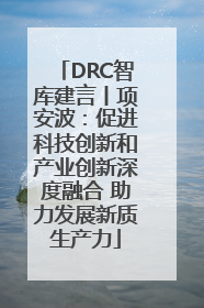 DRC智库建言丨项安波：促进科技创新和产业创新深度融合 助力发展新质生产力