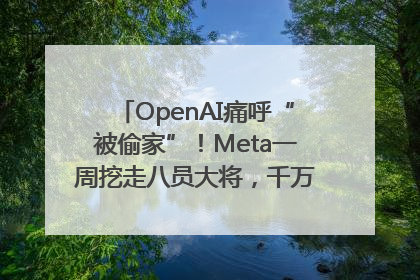 OpenAI痛呼“被偷家”！Meta一周挖走八员大将，千万美元薪酬战开打