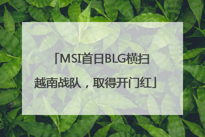 MSI首日BLG横扫越南战队，取得开门红